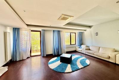 Duplex 14 camere Pantelimon Cernica 864 mp desfasurati - 26