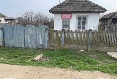 Casă cu 3 camere cu Teren 1387 Mp în Bistreț - 1