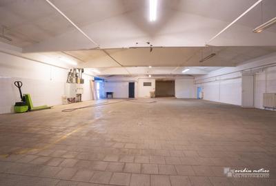 Hale multifunctionale str. Aurel Vlaicu - 5