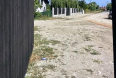 Teren de 10000 mp, în Mofleni - 1