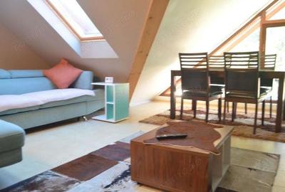 Apartament cu doua camere situat in Busteni - 1