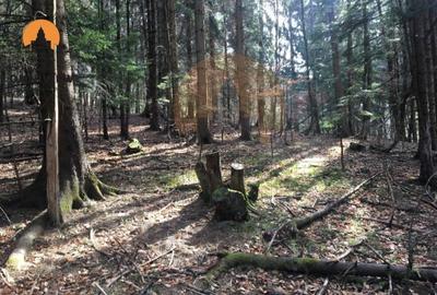 Oportunitatea Investițională în Poiana Brașov - Teren 2000 mp, Zonă Verde 2 - 5