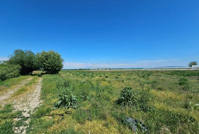 Teren agricol extravilan de 10900 mp, în Băleni-Sârbi - 1