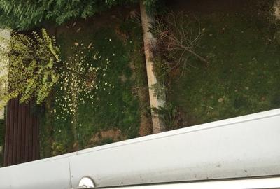 VANZARE VILA 7 CAMERE - PIPERA, LAC - 3