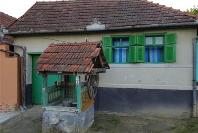 Casă cu 2 camere în Fârliug - 6