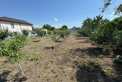 Teren de 880 mp, în Exterior Vest - 3