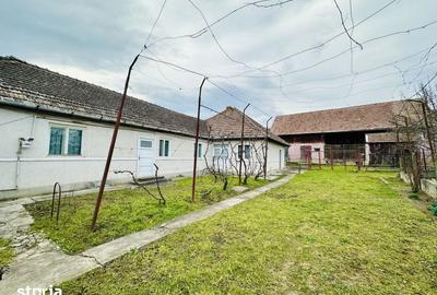 Casă cu 5 camere cu Teren 4629 Mp în Mica - 1