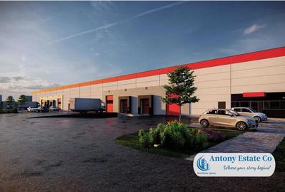 Depozit, Hala Industriala de inchiriat, Giarmata, Timisoara - 10