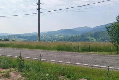 Casă cu 3 camere cu Teren 5000 Mp în Rădăuți - 7