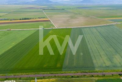 Teren de 43500 mp, în Hărman