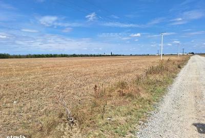 Spațiu comercial, în - 3