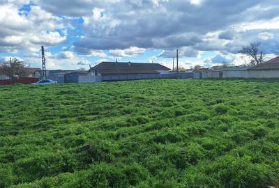 Teren Construcții de 3046 mp, în Mihail Kogălniceanu - 4