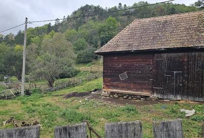 Teren de 800 mp, în Ocolișel - 4