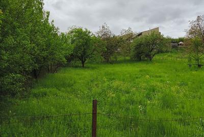 Teren de 1425 mp, în Chinteni - 3