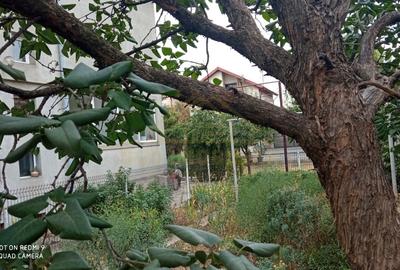 Vila individuala P+1+M  Teren 837mp Paraul Rece Vila individuala P+1+M  Teren 837mp Paraul Rece - 11