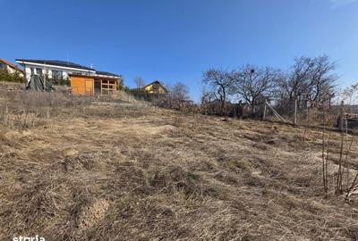 Spațiu comercial, în Feleacu - 4