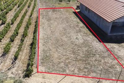 Teren de 500 mp, în Cârcea - 5