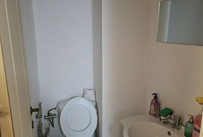 Apartament cu 3 camere decomandat în Banat - 8