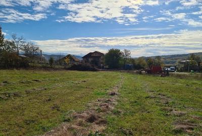 Teren de 2900 mp, în Drăgești - 3