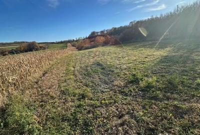 Teren de 5600 mp, în Bogdand - 1