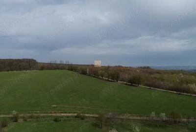 Teren de 5800 mp, în Mitocași - 5