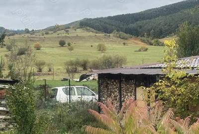 Teren de 2400 mp, în Orlat - 3