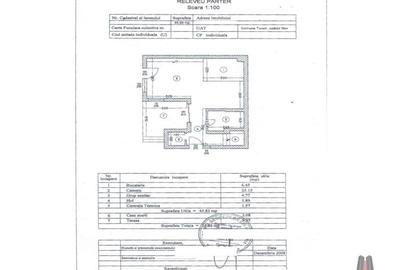 Vila tip duplex P+1 / str Paris - 10