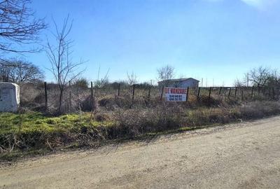 Teren Construcții intravilan de 2300 mp, în Vânători - 9