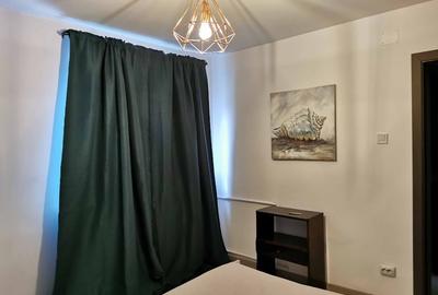 Apartament cu 2 camere semidecomandat în Calea Severinului - 11