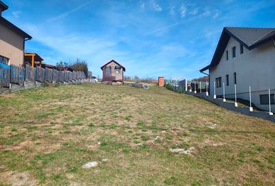 Vand teren in Chinteni - 5