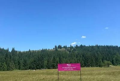 Teren de 40250 mp, în Comandău - 4
