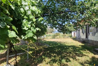 Casă cu 3 camere cu Teren 2000 Mp în Izvoarele - 8