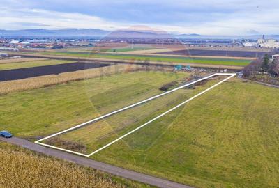 COMISION 0% Teren 3,600mp Brasov / Strada Livezilor - 7
