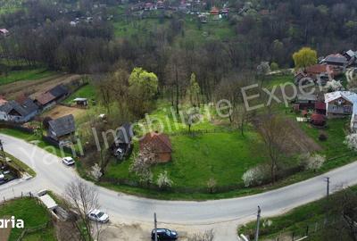 Casă cu 2 camere cu Teren 5800 Mp în Valea Danului - 10