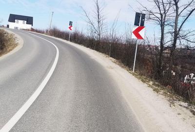Teren de 800 mp, în Săldăbagiu de Munte - 3