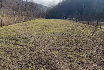 Ciclova, Casa 10 Incaperi, pt 2 Familii, 1439mp Teren - 15