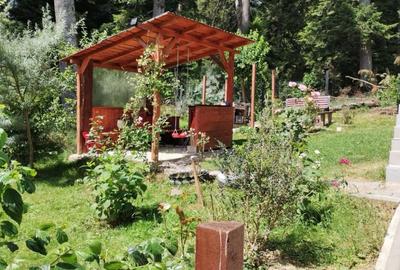 Apartament 3 Camere Busteni - 6