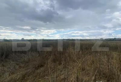 Teren de 2500 mp, în Central