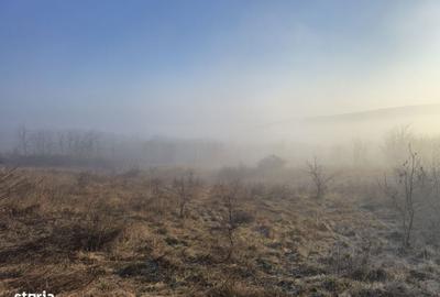 Teren de 400 mp, în Miroslava - 4