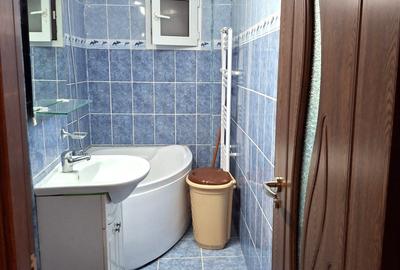 Apartament cu 2 camere decomandat, mobilat în Siderurgiștilor - 8