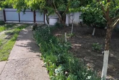 Casă cu 4 camere cu Teren 10000 Mp în Munteni - 4