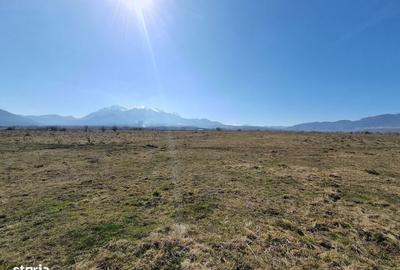 Spațiu comercial, în Central - 4