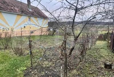 Casa tradi?ionala batraneasca in Galatii Bistri?ei, cu teren generos ?i anexe - 12