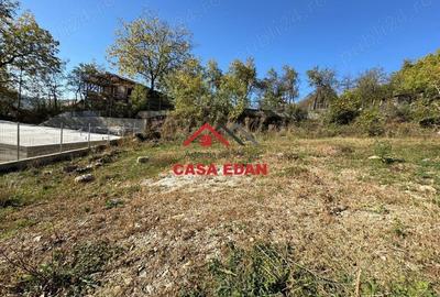 Casă cu Teren 500 Mp în Cornu - 2