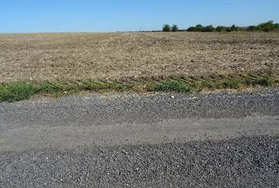 Teren de 5000 mp, în Valu lui Traian - 8