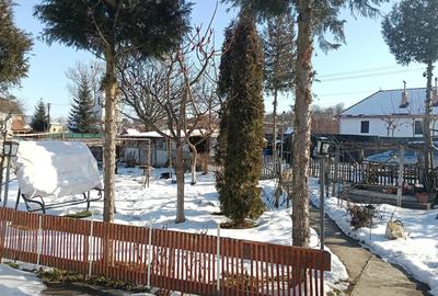 Vand casa in Tichindeal - 10