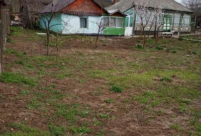 Casă cu 4 camere în Vulturi - 6