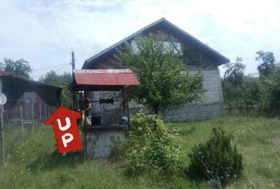 Casă cu 4 camere în Alimpești