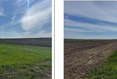 Teren de 3600 mp, în Corni - 6