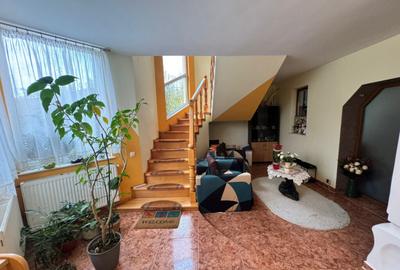 CASA DE VIS SAU AFACERE DE SUCCES BAIA SPRIE - 6